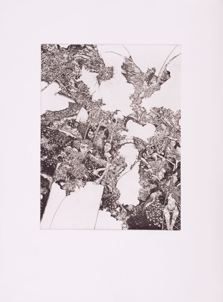 Rasenie clematisu - 1